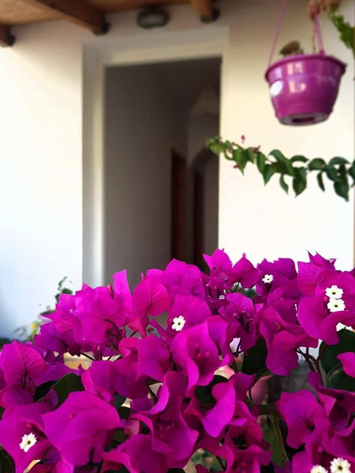 Penelope'S Rooms Dhermi Bagian luar foto