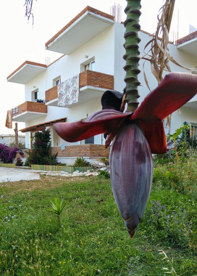 Penelope'S Rooms Dhermi Bagian luar foto